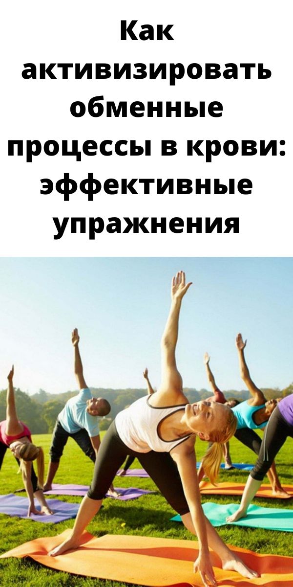 Как активизировать обменные процессы в крови: эффективные упражнения Как активизировать обменные процессы в крови: эффективные упражнения