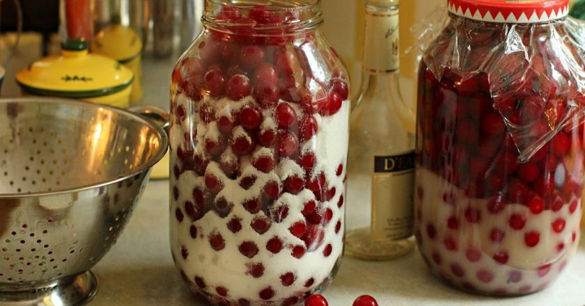 Созрела вишня! Отбираю самую сочную, самую вкусную — и в банку