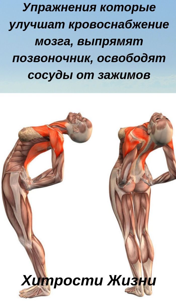 Упражнения, которые улучшат кровоснабжение мозга, выпрямят позвоночник, освободят сосуды от зажимов