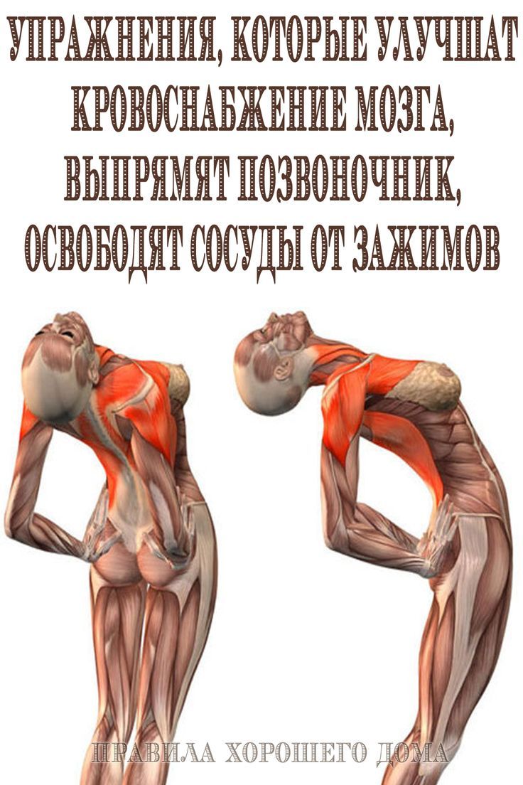 Упражнения, которые улучшат кровоснабжение мозга, выпрямят позвоночник, освободят сосуды от зажимов