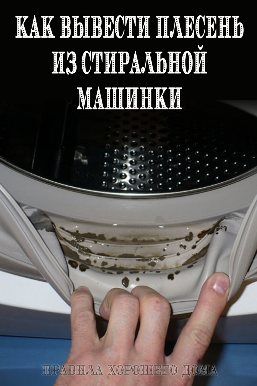 Плесень в стиральной машинке: как ее правильно убрать Плесень в стиральной машинке: как ее правильно убрать