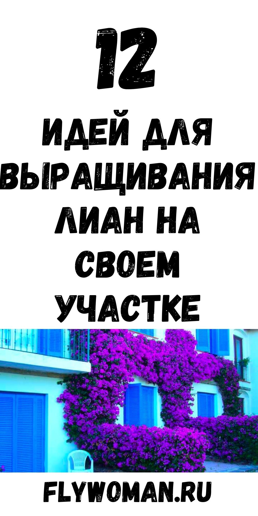 Клематисы в ландшафтном дизайне.12 идей как красиво разместить лианы на участке