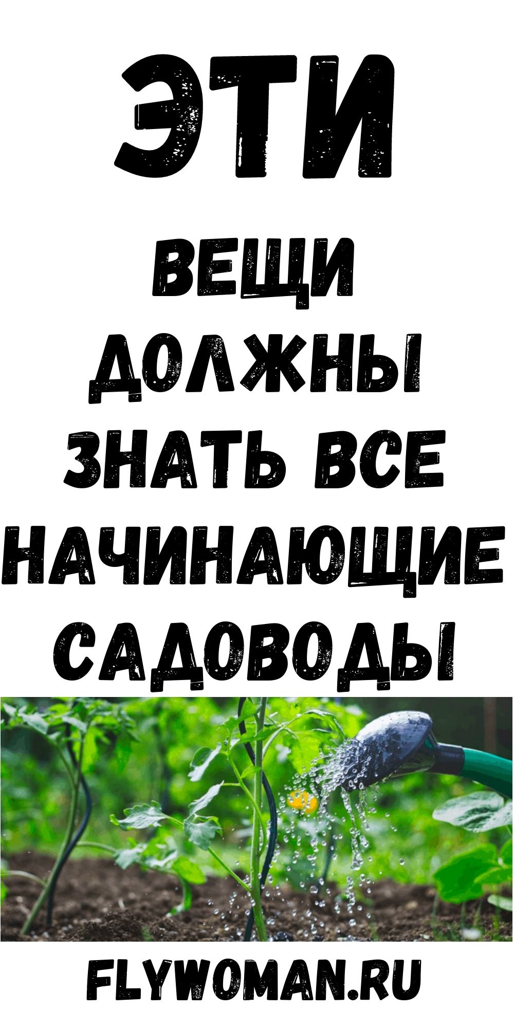 Шпаргалка для начинающих дачников: Растения и стили