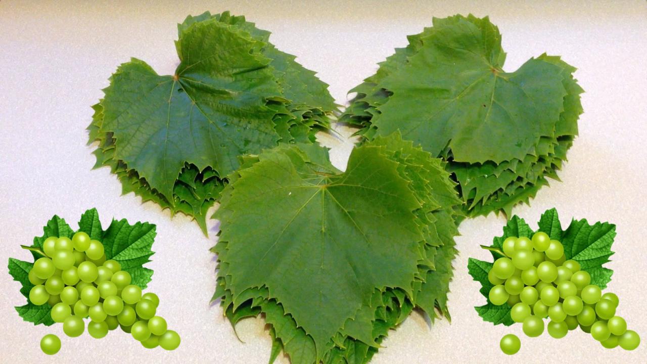 Зимой всегда под рукой - заготавливаем листья для голубцов!&nbsp;
