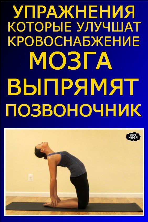Упражнения, которые улучшат кровоснабжение мозга, выпрямят позвоночник, освободят сосуды от зажимов