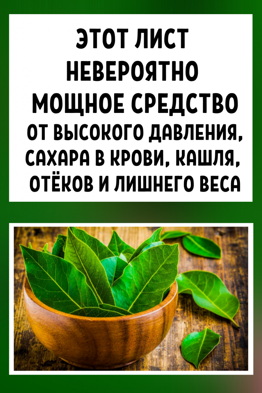 Этот лист — невероятно мощное средство от высокого давления, сахара в крови, кашля, отёков и лишнего веса!