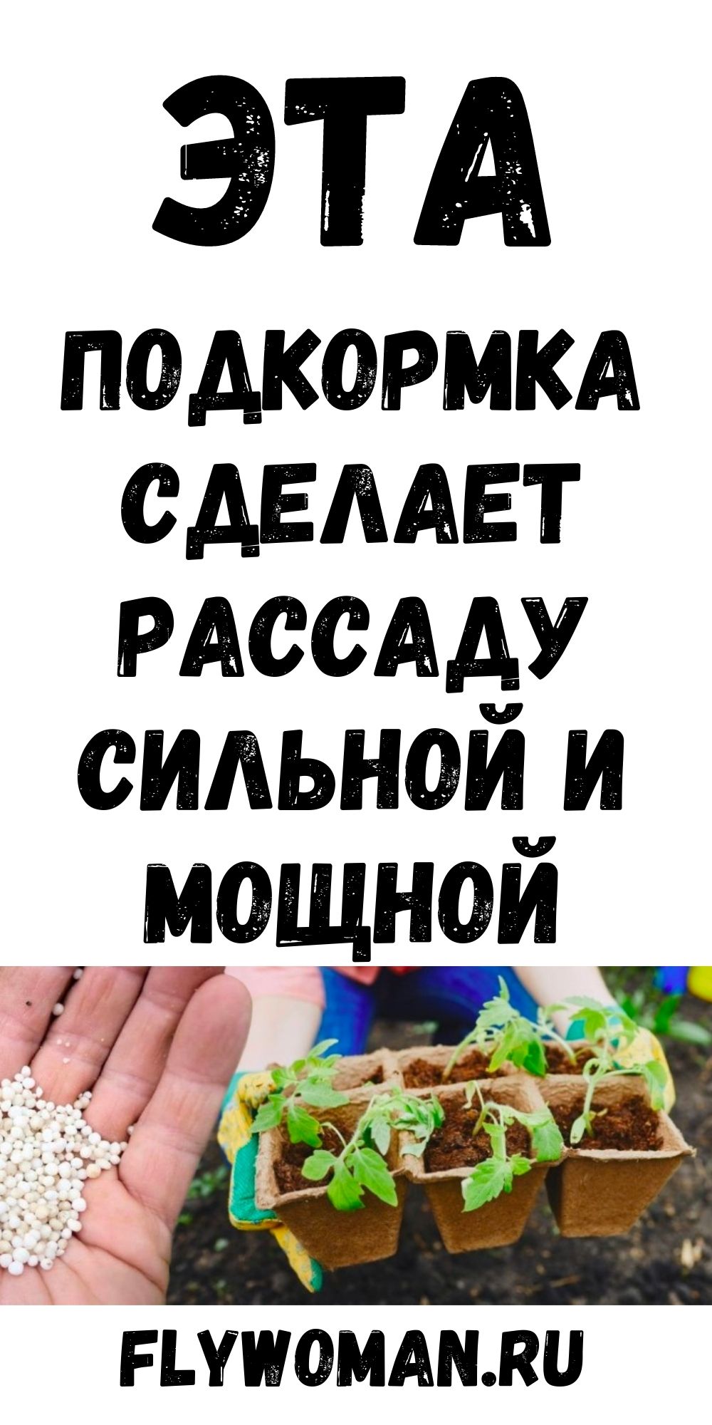 После такой необычной подкормки рассада вырастет толстенькой и мощной
