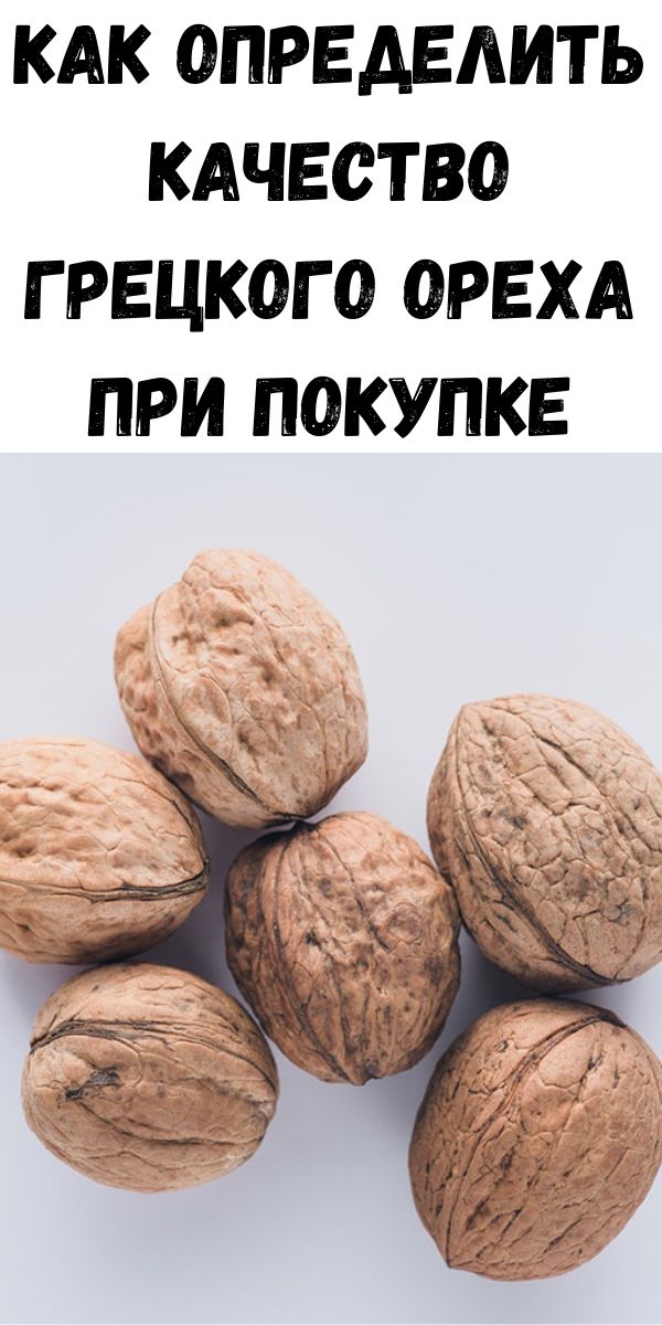 Как определить качество грецкого ореха при покупке