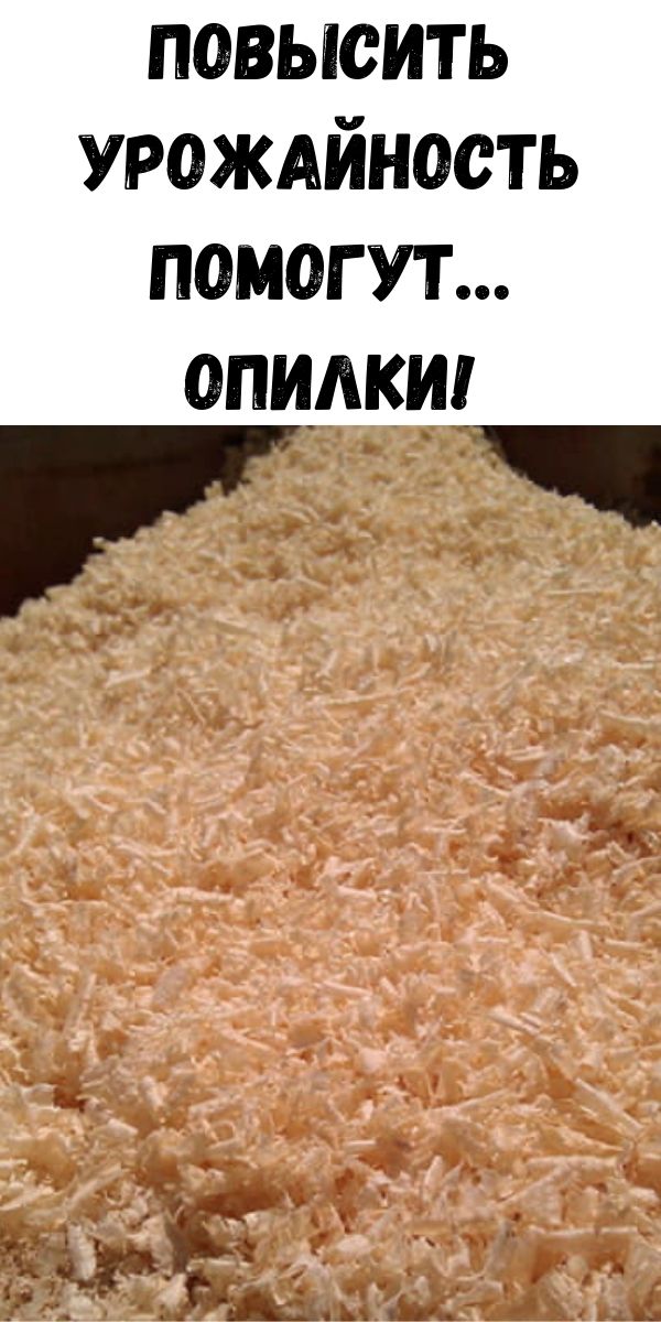 Повысить урожайность помогут&hellip; опилки!