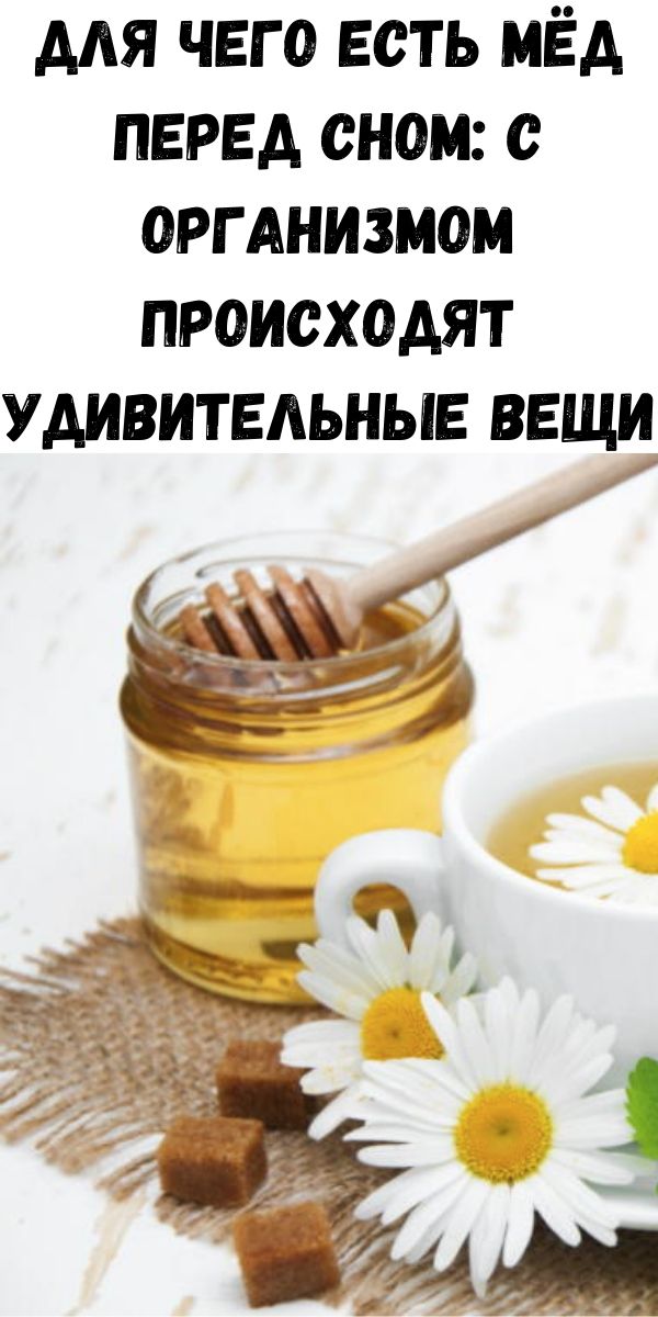 Для чего есть мёд перед сном: с организмом происходят удивительные вещи