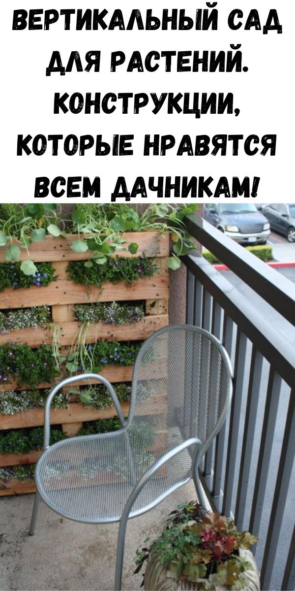 Вертикальный сад для растений. Конструкции, которые нравятся всем дачникам!