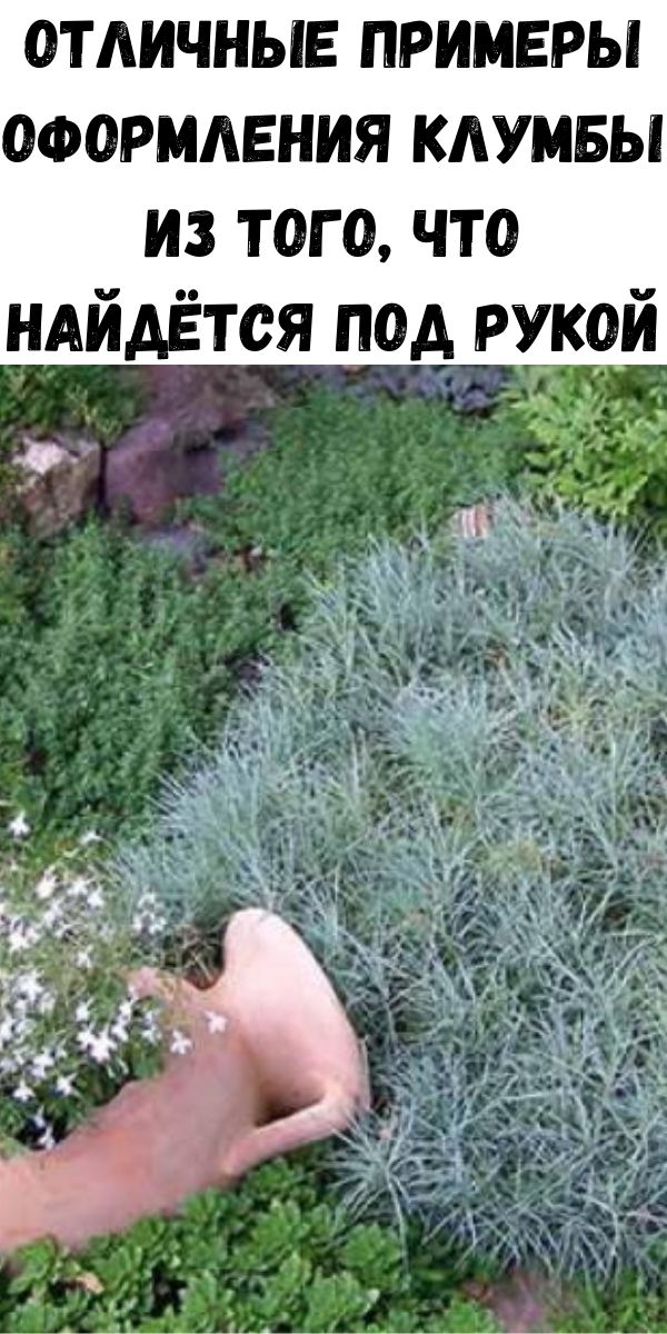 Отличные примеры оформления клумбы из того, что найдётся под рукой
