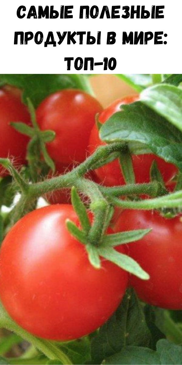 Самые полезные продукты в мире: топ-10