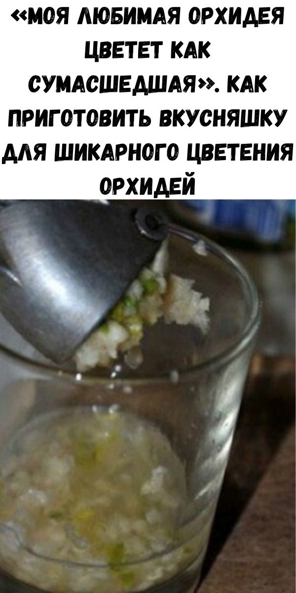 &laquo;Моя любимая орхидея цветет как сумасшедшая&raquo;. Как приготовить вкусняшку для шикарного цветения орхидей