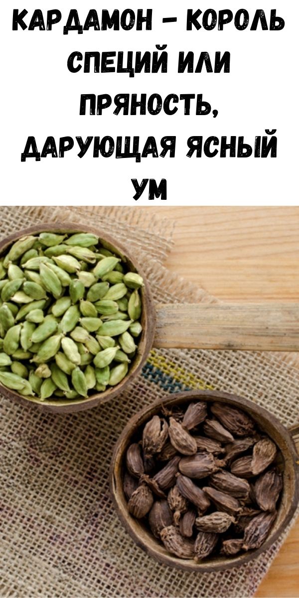 Кардамон - Король специй или пряность, дарующая ясный ум