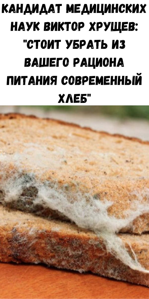 Кандидат медицинских наук Виктор Хрущев: "Стоит убрать из вашего рациона питания современный хлеб"