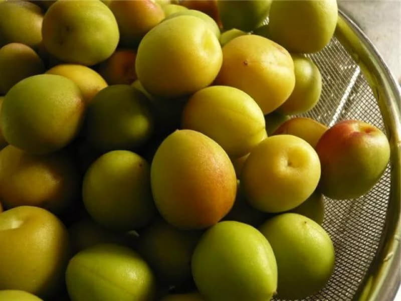 Вино из сливы &mdash; простые рецепты в домашних условиях