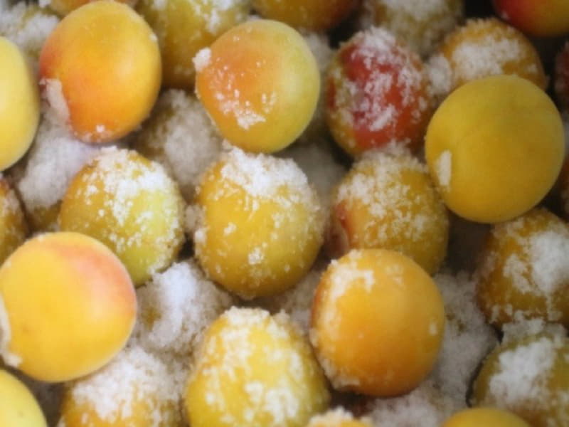 Вино из сливы &mdash; простые рецепты в домашних условиях