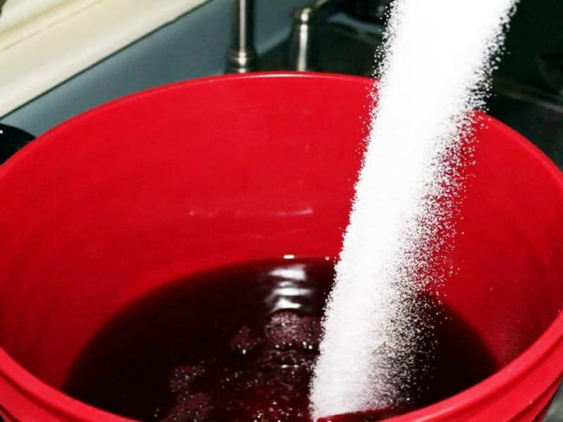 Вино из сливы &mdash; простые рецепты в домашних условиях