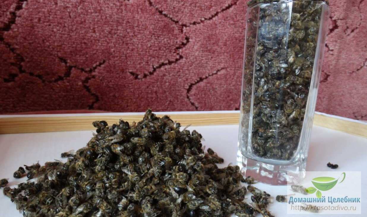 Настойка из пчелиного подмора &mdash; спасет от 100 болезней, даже онкологии...