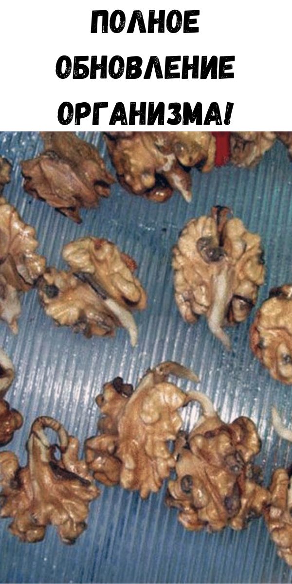 Полное обновление организма!