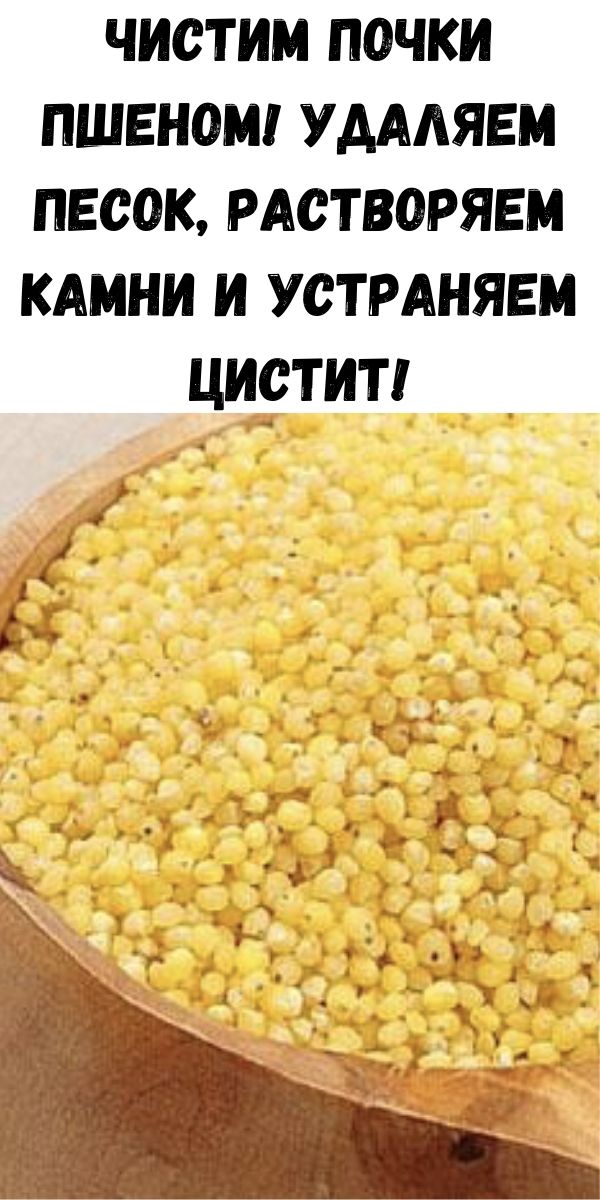 Как почистить почки дома. Вывод камней из почек пшеном. Почки вылечим пшеном. Пшено для почек. Чистка почек пшеном.