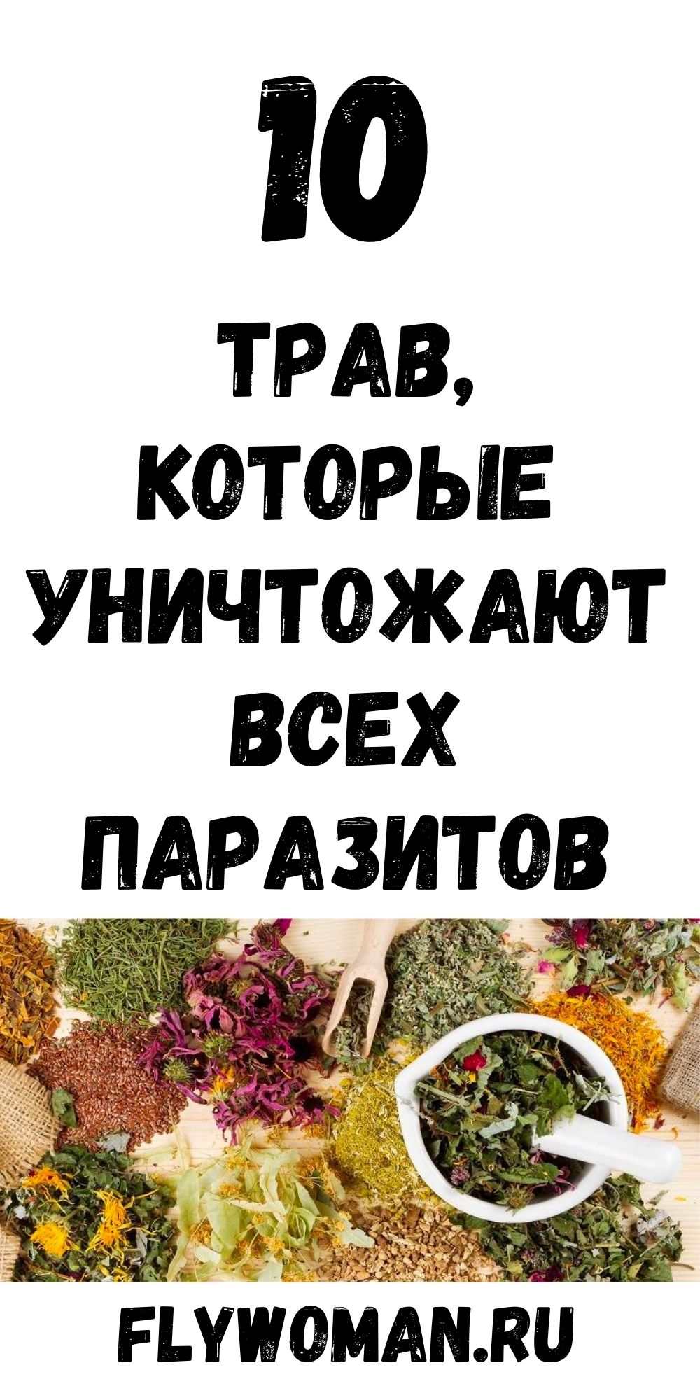 Лучшие антипаразитарные травы &mdash; это стоит знать каждому