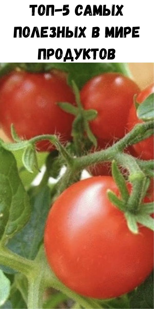 ТОП-5 самых полезных в мире продуктов