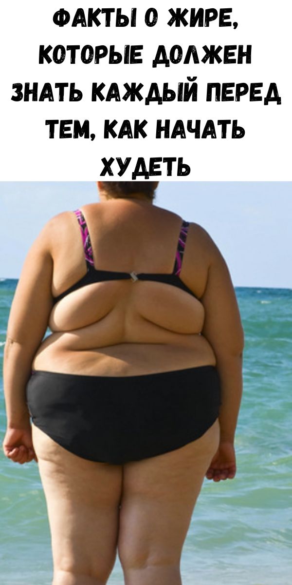 Факты о жире, которые должен знать каждый перед тем, как начать худеть