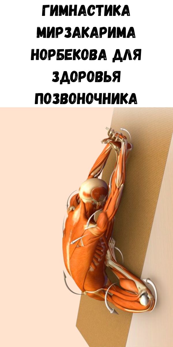 Гимнастика Мирзакарима Норбекова для здоровья позвоночника