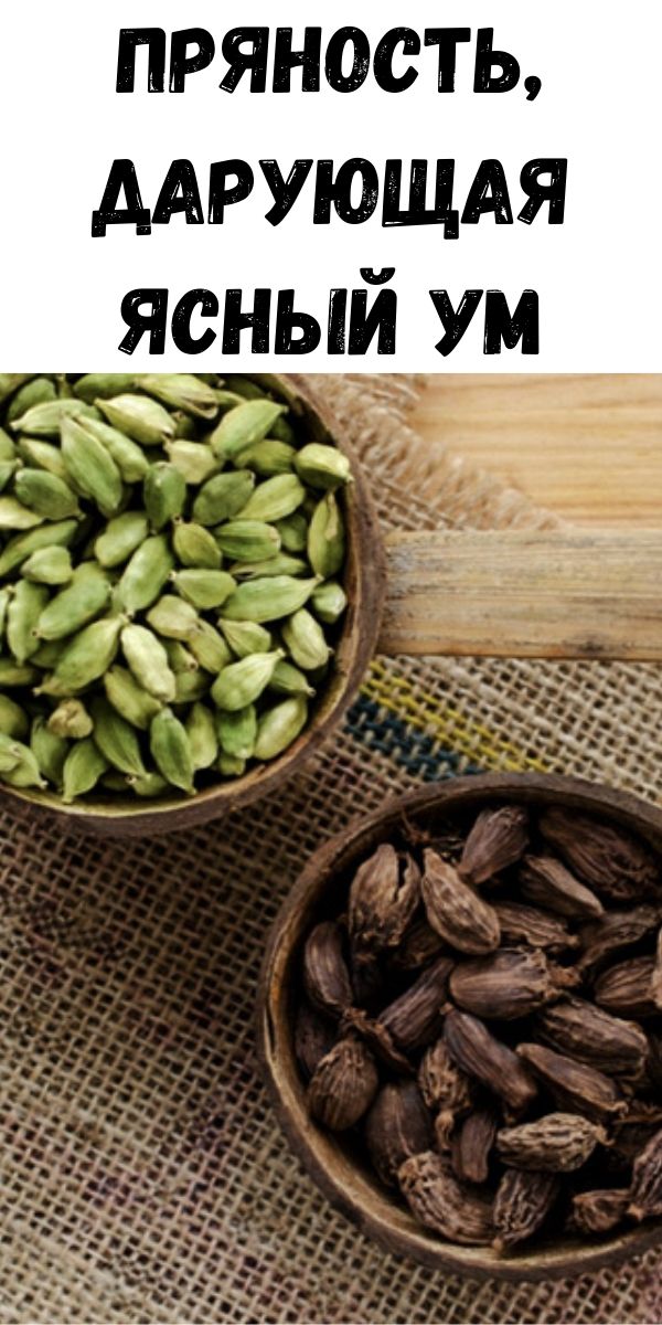 Пряность, дарующая ясный ум