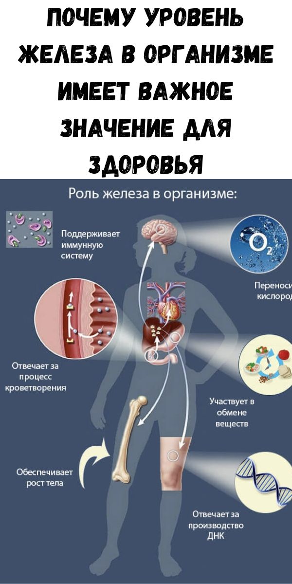 Почему уровень железа в организме имеет важное значение для здоровья