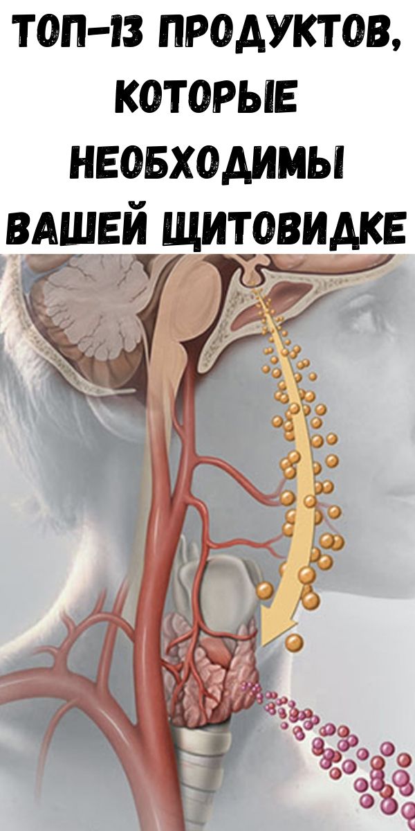 ТОП-13 продуктов, которые необходимы вашей щитовидке