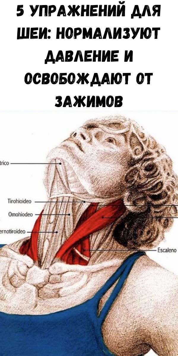 5 упражнений для шеи: Нормализуют давление и освобождают от зажимов