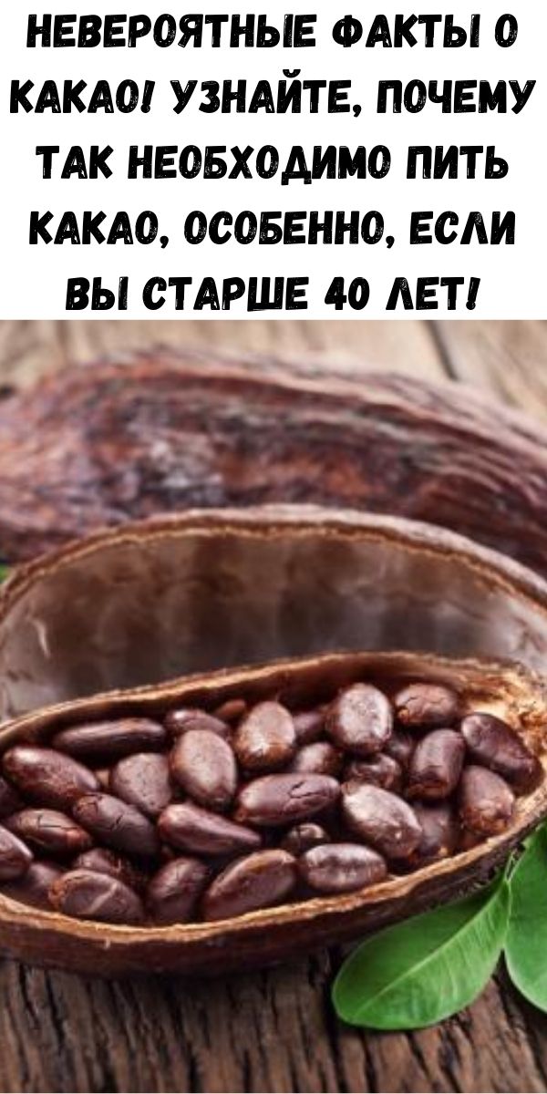 Невероятные факты о какао! Узнайте, почему так необходимо пить какао, особенно, если вы старше 40 лет!