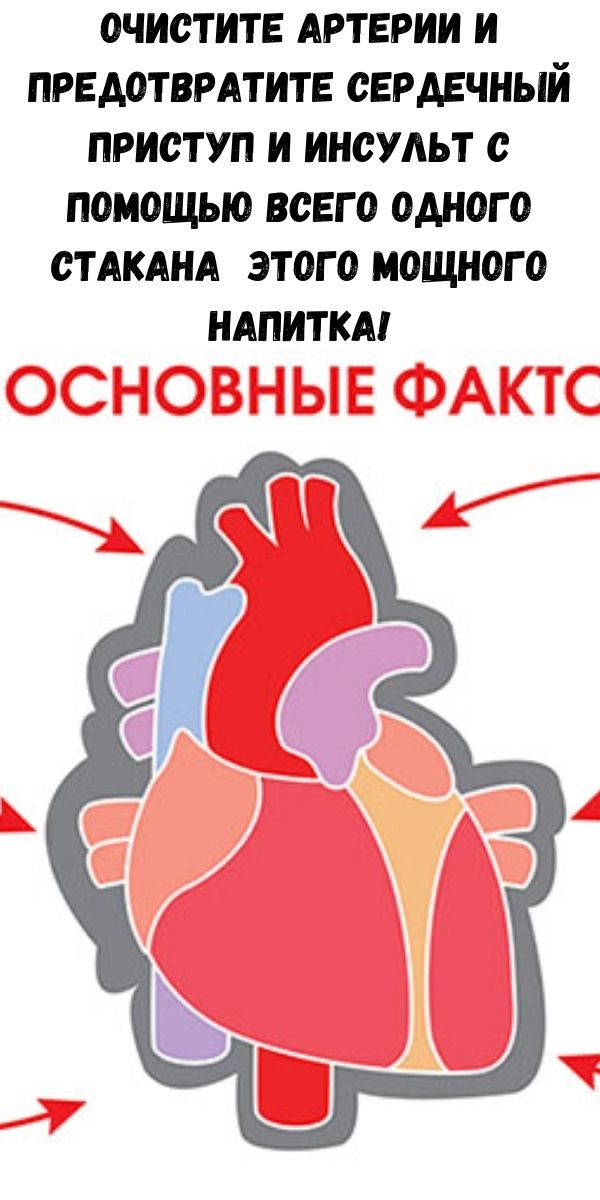 Очистите артерии и предотвратите сердечный приступ и инсульт с помощью всего одного стакана этого мощного напитка!