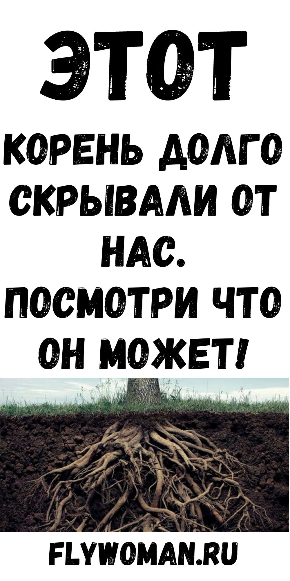Эксперты нашли корень, который может убить ДО 98% Раковых Клеток!