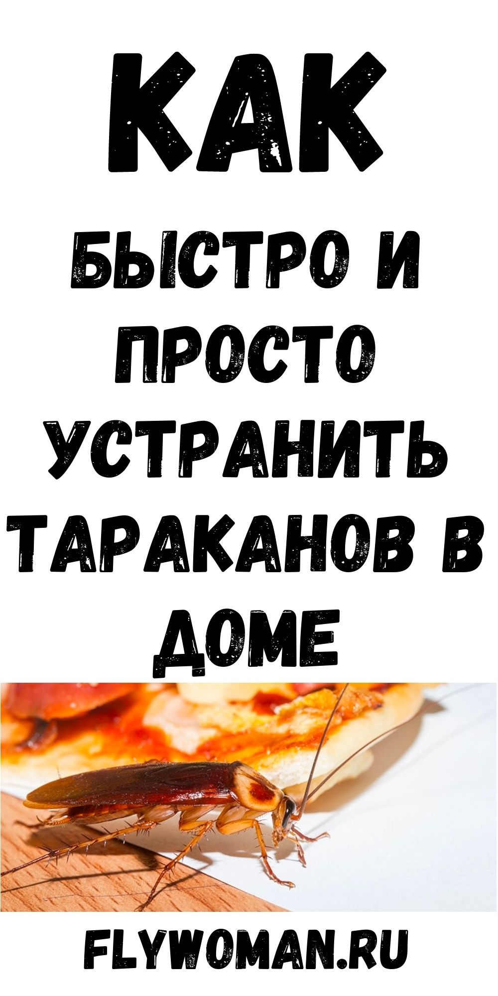 Вот как избавиться от тараканов раз и навсегда, это на 100% эффективно
