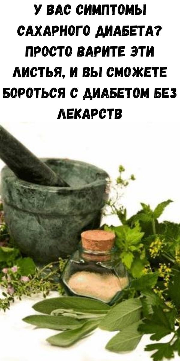 У Вас симптомы сахарного диабета? Просто варите эти листья, и Вы сможете бороться с диабетом без лекарств