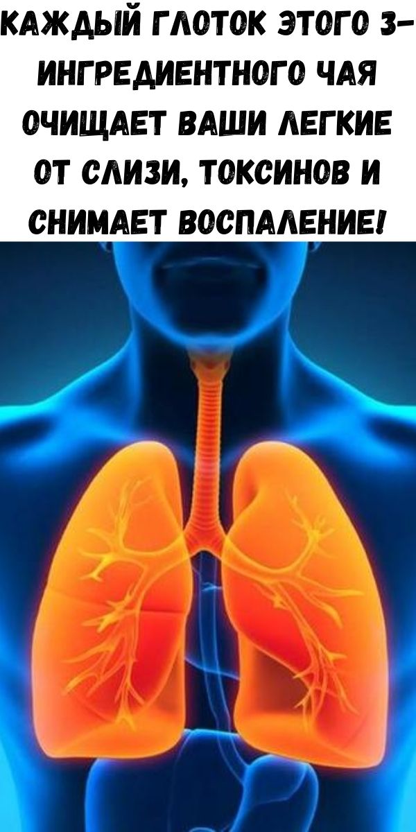 Каждый глоток этого 3-ингредиентного чая очищает ваши легкие от слизи, токсинов и снимает воспаление!