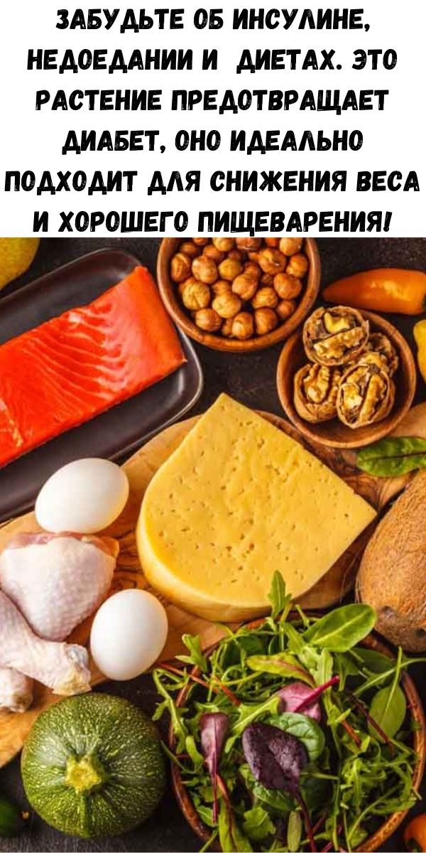 Забудьте об инсулине, недоедании и диетах. Это растение предотвращает диабет, оно идеально подходит для снижения веса и хорошего пищеварения!
