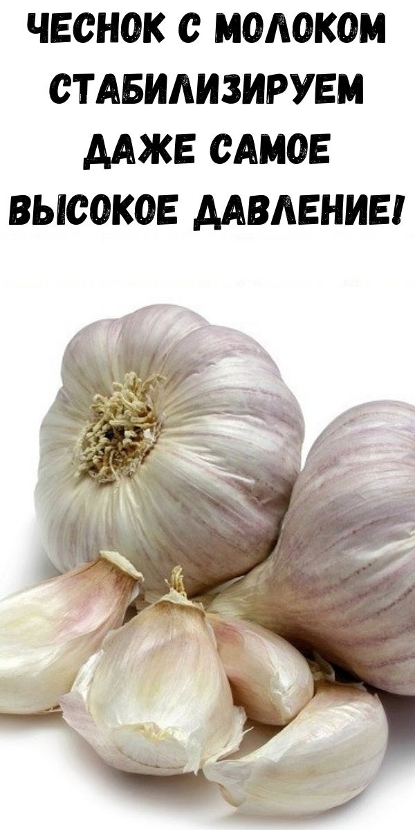 Чеснок с молоком стабилизируем даже самое высокое давление!