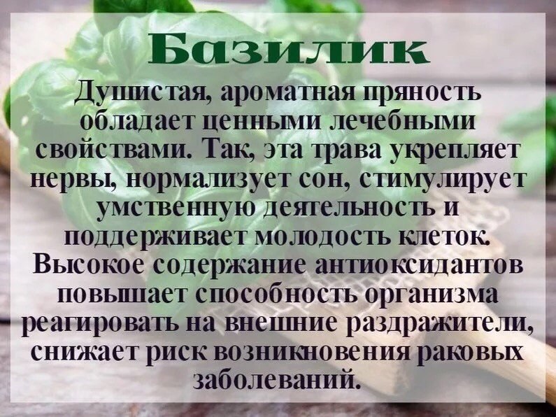 Такие полезные свойства специй! Таблетки все выбросила!