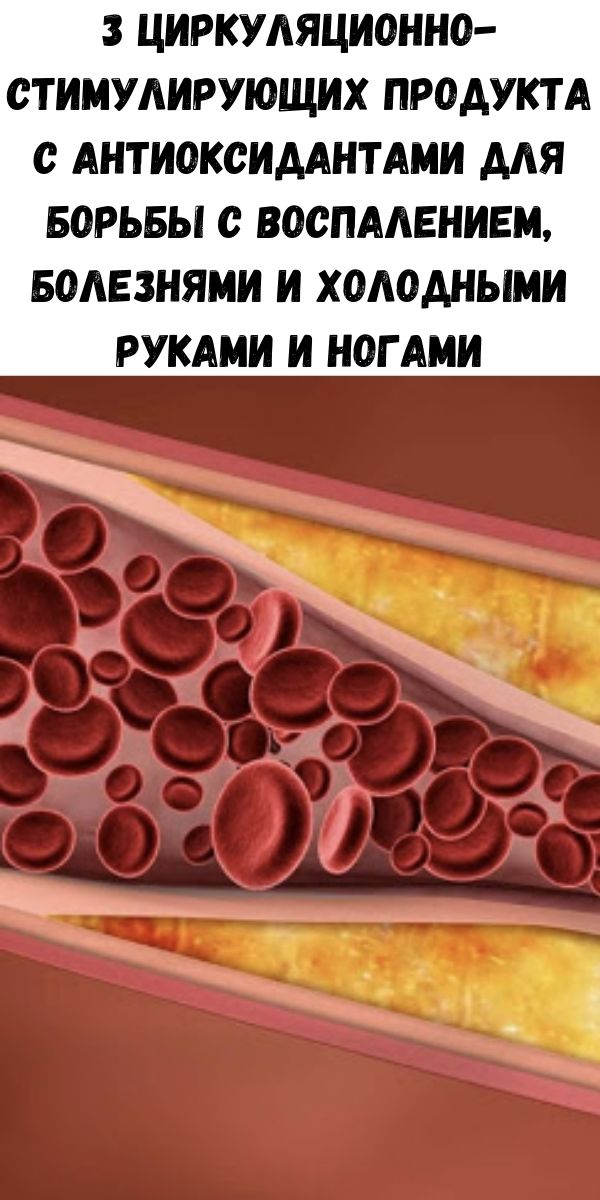 3 циркуляционно-стимулирующих продукта с антиоксидантами для борьбы с воспалением, болезнями и холодными руками и ногами
