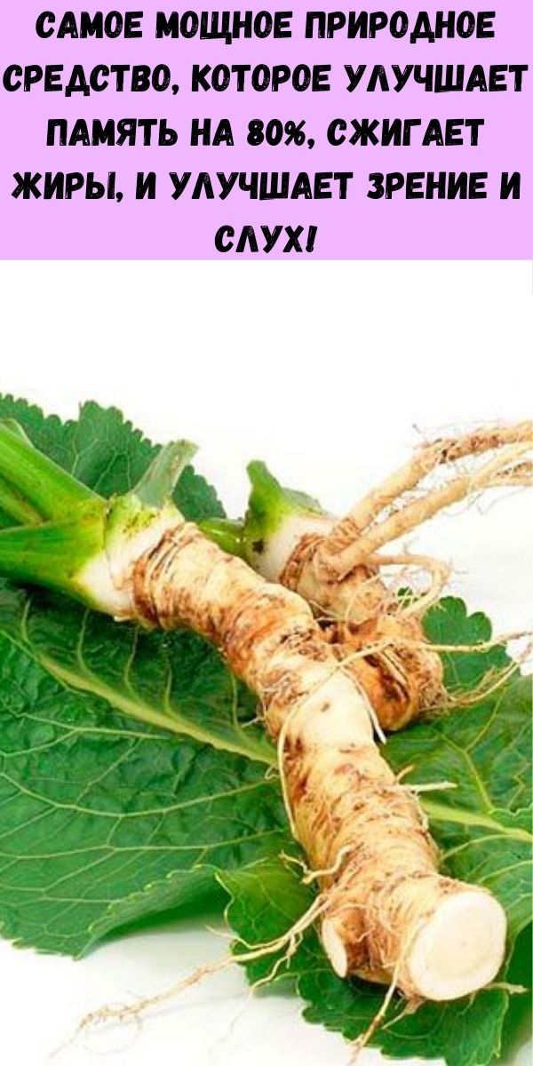 Самое мощное природное средство, которое улучшает память на 80%, сжигает жиры, и улучшает зрение и слух!