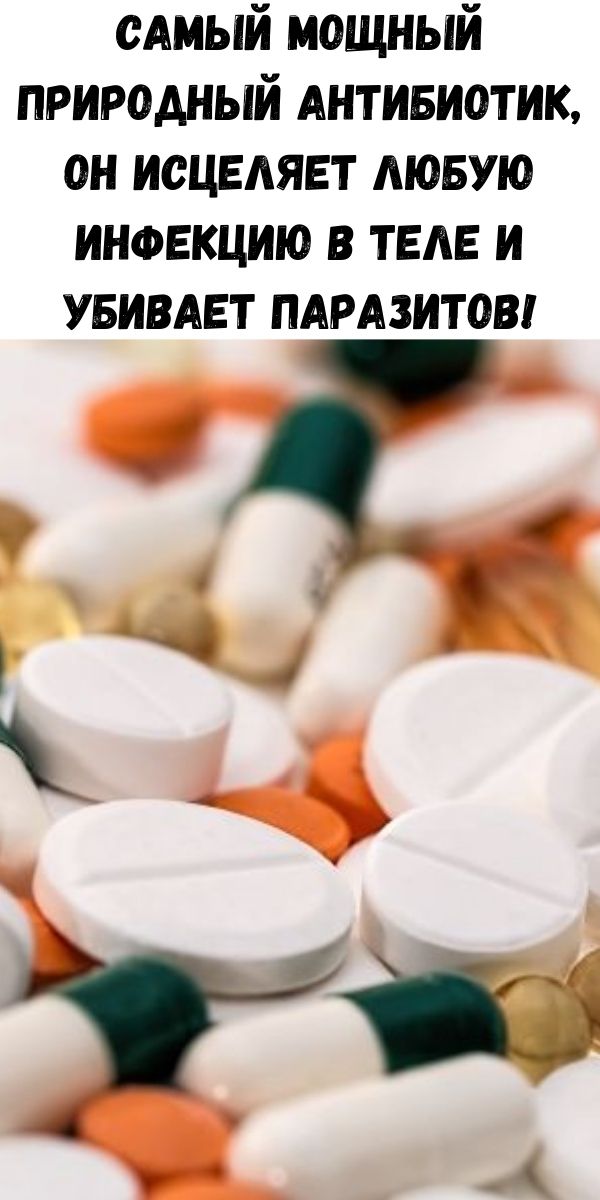 Самый мощный природный антибиотик, он исцеляет любую инфекцию в теле и убивает паразитов!