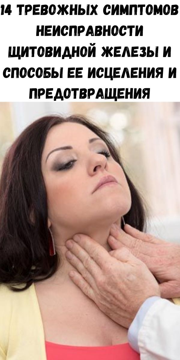 14 тревожных симптомов неисправности щитовидной железы и способы ее исцеления и предотвращения