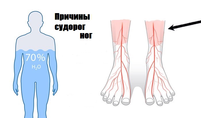 Холодное ноги почему тело