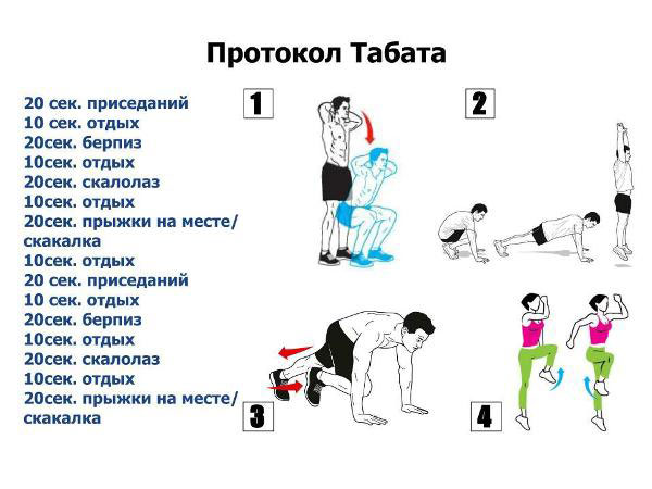 Сверхбыстрое похудение: Высокоинтенсивная 4-минутная тренировка Табата для сжигания калорий Сверхбыстрое похудение: Высокоинтенсивная 4-минутная тренировка Табата для сжигания калорий