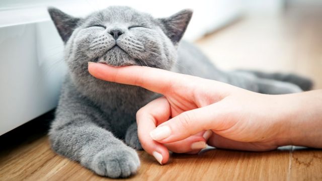Счастливые люди живут дольше: 12 простых и мудрых секретов долголетия Счастливые люди живут дольше: 12 простых и мудрых секретов долголетия